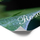 Rosa Blue Bajou Poster (Hoek)