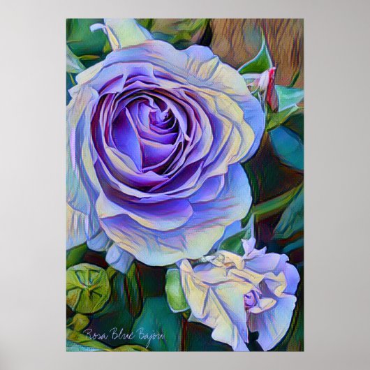 Rosa Blue Bajou [Poster] Poster (Voorkant)