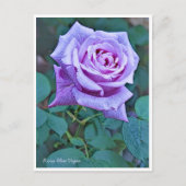 Rosa Blue Vague Briefkaart (Voorkant)