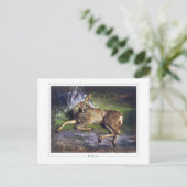 Rosa Bonheur #127 - Kunst Briefkaart (Staand voorkant)