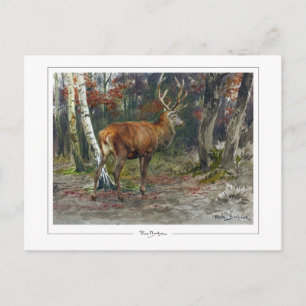 Rosa Bonheur #135 - Fijne Kunst Briefkaart