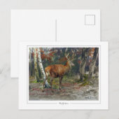 Rosa Bonheur #135 - Kunstkunst Briefkaart (Voorkant / Achterkant)