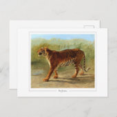 Rosa Bonheur #52 - Fijne Kunst Briefkaart (Voorkant / Achterkant)