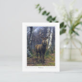 Rosa Bonheur #5 - Fijne Kunst Briefkaart (Staand voorkant)
