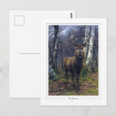 Rosa Bonheur #5 - Fine Art Briefkaart (Voorkant / Achterkant)