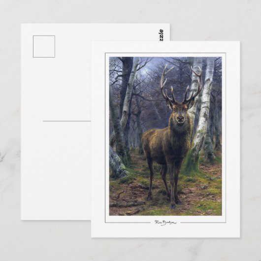 Rosa Bonheur #5 - Fine Art Briefkaart (Voorkant / Achterkant)