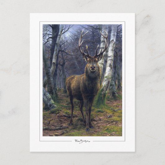 Rosa Bonheur #5 - Fine Art Briefkaart (Voorkant)