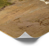 Rosa Bonheur Col. William F. Cody (Buffalo Bill) Poster (Hoek)