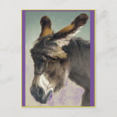 Rosa Bonheur, het hoofd van een ezel, beeldende ku Briefkaart (Voorkant)