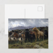 Rosa Bonheur Highland Raid Briefkaart (Voorkant / Achterkant)