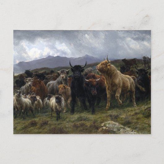 Rosa Bonheur Highland Raid Briefkaart (Voorkant)