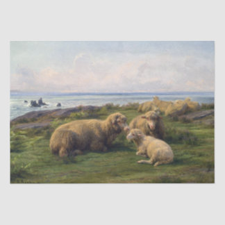 Rosa Bonheur | Schapen door de Zee Tissuepapier