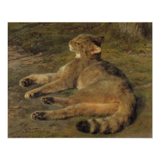 Rosa Bonheur Wilde kat 1850 Poster (Voorkant)