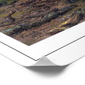 Rosa Bonheur Zedign Art Poster 5 (Hoek)