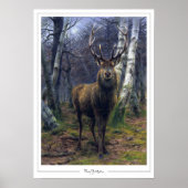 Rosa Bonheur Zedign Art Poster 5 (Voorkant)