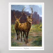 Rosa Bonheur Zedign Art Poster #57 (Voorkant)