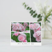  Rosa Bonica '82 Briefkaart (Staand voorkant)