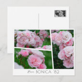  Rosa Bonica '82 Briefkaart (Voorkant / Achterkant)