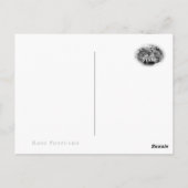 Rosa Bonica '82 Briefkaart (Achterkant)