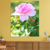 Rosa Bonica '82 Canvas Afdruk (Insitu (Woonkamer))