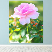 Rosa Bonica '82 Canvas Afdruk (Insitu (Houten vloer))
