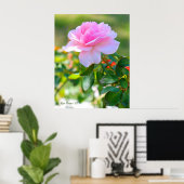 Rosa Bonica '82 Poster (Thuiskantoor)