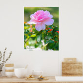 Rosa Bonica '82 Poster (Keuken)