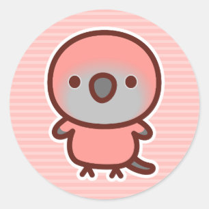Rosa Bourke-papegaai Ronde Sticker