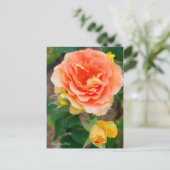 Rosa Brass Band [Briefkaart] Briefkaart (Staand voorkant)