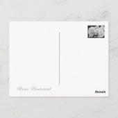 Rosa Bridal Pink Briefkaart (Achterkant)
