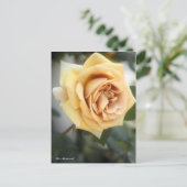 Rosa Butterscotch:Briefkaart Briefkaart (Staand voorkant)