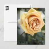 Rosa Butterscotch:Briefkaart Briefkaart (Voorkant / Achterkant)