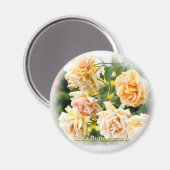 Rosa Butterscotch Magneet (Voorkant / Achterkant)
