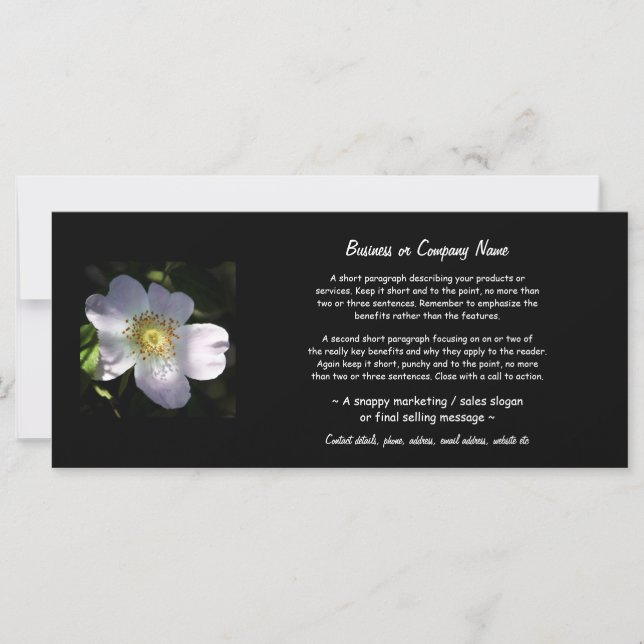 Rosa Canina - Dog Roos (Voorkant)