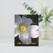 Rosa Canina - Dog Roos Briefkaart (Staand voorkant)