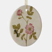 Rosa Canina - Dogrose en Caterpijler (potlood & w/ Keramisch Ornament (Rechts)