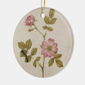 Rosa Canina - Dogrose en Caterpijler (potlood & w/ Keramisch Ornament (Links)