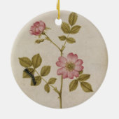 Rosa Canina - Dogrose en Caterpijler (potlood & w/ Keramisch Ornament (Achterkant)