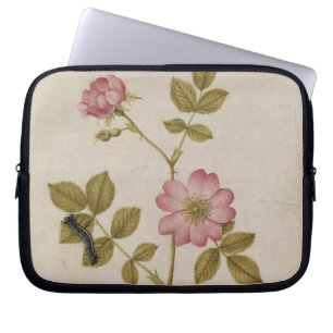 Rosa Canina - Dogrose en Caterpijler (potlood & w/ Laptop Sleeve