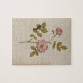 Rosa Canina - Dogrose en Caterpijler (potlood & w/ Legpuzzel (Horizontaal)