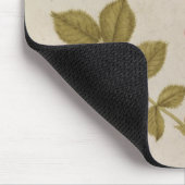 Rosa Canina - Dogrose en Caterpijler (potlood & w/ Muismat (Hoek)