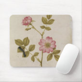 Rosa Canina - Dogrose en Caterpijler (potlood & w/ Muismat (Met muis)