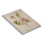 Rosa Canina - Dogrose en Caterpijler (potlood & w/ Notitieboek (Rechterzijde)