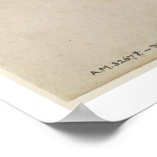 Rosa Canina - Dogrose en Caterpijler (potlood & w/ Poster (Hoek)