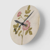 Rosa Canina - Dogrose en Caterpijler (potlood & w/ Ronde Klok (Hoek)