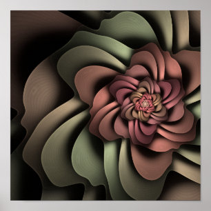 Rosa Canina Erratica 12 x 12 inch Poster