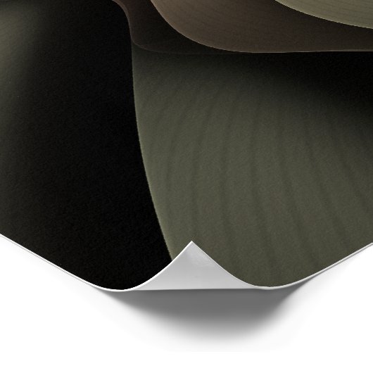 Rosa Canina Erratica Poster (Hoek)