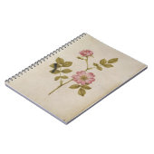 Rosa Canina - Hondsroos en Rups (potlood & w/ Notitieboek (Linkerzijde)