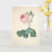 Rosa Centifolia Bullata door Redoute Sympathy Kaart (Gele Bloem)