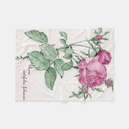 Rosa Centifolia Foliacea Throw Blanket Fleece Deken (Voorkant (Horizontaal))